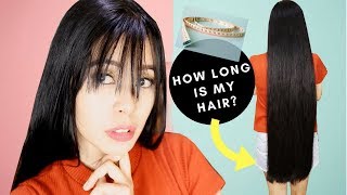 Measuring my Current Hair Length amp Hair Growth UpdateBeautyklove [upl. by Annad505]