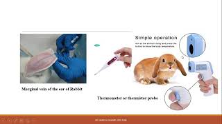 Demonstration of test for pyrogens by Rabbit method Part1 [upl. by Aseiram]