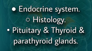 Endocrine histology  pituitary amp thyroid amp parathyroid glands [upl. by Handy]