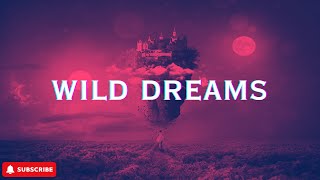 Wild Dreams  Unravel the Mystery of Epic Fantasy Music [upl. by Ferren820]