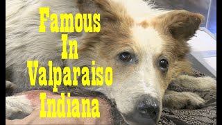 Famous In Valparaiso Indiana [upl. by Eldwin]