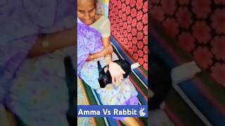 my new family member Mukku 🐇🐰funny shorts 😂 😂 trending minivlogs shorts short video [upl. by Aimik]