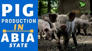 How to start Pig Production  The Farmers Narrative  Sabiagrik TV [upl. by Anohsal]