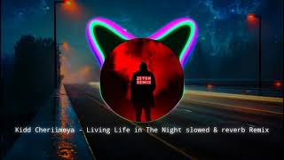 Sierra Kidd  Cheriimoya  Living Life In The Night slowed amp bass boosted [upl. by Nellir]