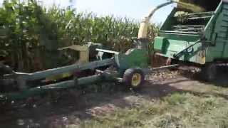 Chopping Corn Silage for Feed JD 3950 Pull Type Chopper [upl. by Eeluj574]