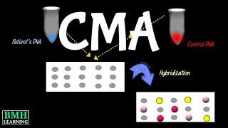 Chromosomal Microarray Test  Chromosomal Microarray Analysis  CMA Test [upl. by Georgianna]