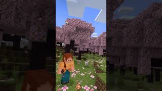 Dentro Minecraft vita reale minecraftbuilding minecrafbuilds minecrafttutorial buildhacks [upl. by Yeldua724]