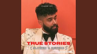 True Stories Ap Dhillon  Slowed amp Reverb [upl. by Lilah]