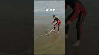 Flounder fishing fishingvideo fish flounderfishing flounder [upl. by Danielson]