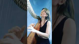 quotCloudbustingquot Kate Bush Harp Cover [upl. by Suivatram]