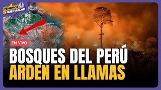 🔴INCENDIOS FORESTALES DESTRUYEN LA AMAZONÍA ¿Cómo ayudar  Tenemos que Hablar [upl. by Eeramit]