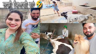 ਕਦੇ ਚਰੀ ਵੀ ਆਂਡੇ ਦਿੰਦੀ ਦੇਖੀ ਆ 🤣 ਐਸ ਦੇ ਪੁੱਠੇ ਪੰਗੇ Jass salina new vlog [upl. by Verne]