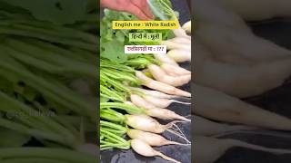 CG FOOD NAME  cg food vlog  cg name  cg word  cg food  cg Cuisine  shorts  food chhattisgarh [upl. by Earej]