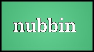 Nubbin Meaning [upl. by Ecienahs]