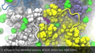 MD simulation of the Ion Channel GLIC Bromoform Binding [upl. by Odarnoc]