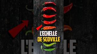 COMMENT FONCTIONNE L’ÉCHELLE DE SCOVILLE [upl. by Ebert]