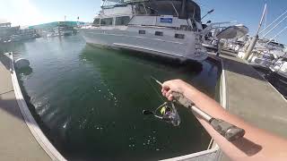 Marina Fishing  Kicked out twice [upl. by Golliner]