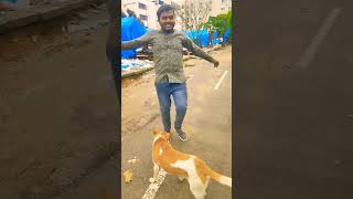 Patar Tiriyakhesari lal yadavshorts video viral 🌧️😍 [upl. by Callahan165]