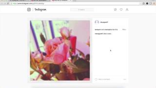 How to find your Instagram User ID [upl. by Ragas]