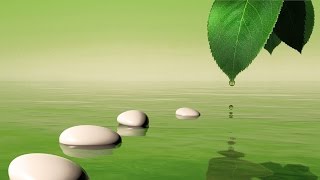 Zen Spa Music for deep relaxation and tranquil spirits With Babbling Brook [upl. by Hendricks674]