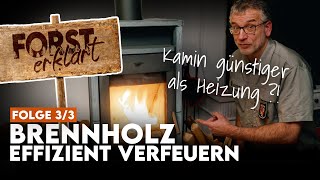 So kannst Du mit Deinem Kamin bares Geld sparen  Forst erklärt BrennholzDIY Part 33 [upl. by Belak]