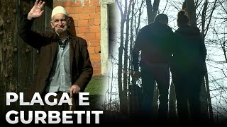 Film shqip ► PLAGA E GURBETIT [upl. by Hesper488]