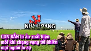 Đi tìm CON RẮN bí ẩn xuất hiện quanh CĂN NHÀ HOANG  TGSB 1027 [upl. by Alfreda]