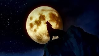 Wolf Howling at the Moon Sound Nature Landscape  Black Wolf Howling at the Full Moon [upl. by Ahoufe]