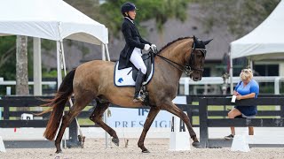 ISFs Johnny Walker CLB 1st place at Adequan Global Dressage Festival 6 National  February 2024 [upl. by Hsemar965]