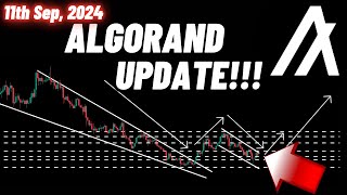 Algorand ALGO Crypto Coin Update  11th Sep 2024 [upl. by Maren]