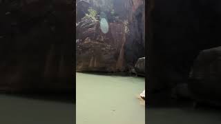 Zion Narrows Hiking Through Thousand Foot Walls zionnationalpark hikingadventure water hiking [upl. by Matelda483]