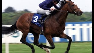 Galileo  Irish Derby 2001 [upl. by Keir]