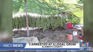 3 arrested at illegal grow in Klamath County [upl. by Randie216]