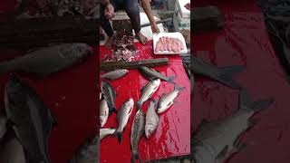 fish market harola noidameat market harola noida [upl. by Mikeb]