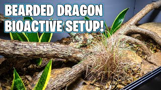 Bioactive Bearded Dragon Setup [upl. by Dorman861]