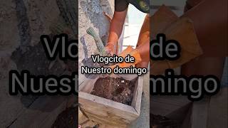 Elotes cocidos en leña vlog amadecasa parati shorts shortvideo [upl. by Eniretak11]