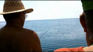 Pesca turistica allo sgombro Motonave Andrea Doria [upl. by Terbecki23]