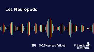 Les Neuropods  Épisode 1  SOS cerveau fatigué [upl. by Aliled354]