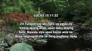 ANG NAWALA NGA ANAK  LUCAS 151132 [upl. by Adnical]