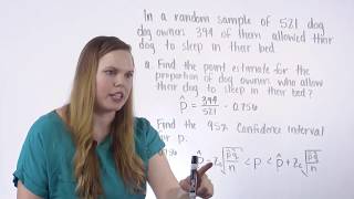 Confidence Intervals for Proportions [upl. by Becket]