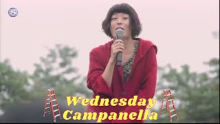 Wednesday Campanella  Momotaro Live FIRST TIME REACTION [upl. by Rapsac]