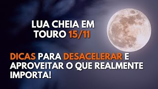 Lua cheia em Touro 1511 Uma PAUSA em meio ao CAOS [upl. by Lorsung]