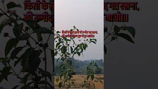 Jiske aane se mukamal hai ll Arjit singh fan ll arjitsingh song nature birds [upl. by Goldfarb]