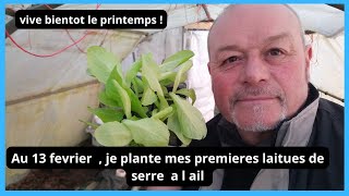 Au 13 février au jardin  mes premières plantations de LAITUES [upl. by Ainslie]