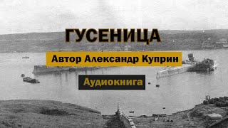 Гусеница АКуприн Аудиокнига аудиокнига аудиокниги куприн роман рассказ бесплатно [upl. by Llerod223]