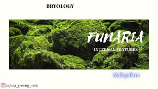 Internal Structure Of Funaria  Malayalam  TS Of Leaf amp Axis Of Funaria [upl. by Todhunter]