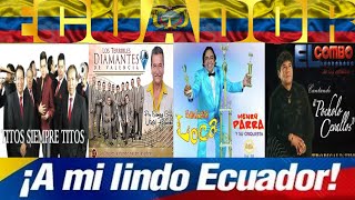 MIX CHICHITA ECUATORIANA BAILABLES DE FIN DE AÑO [upl. by Aseen]