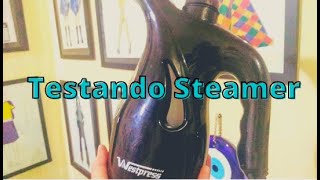 🎬Passadeira a vapor funciona👔 Como usar o steamervaporizador❤️ [upl. by Ennoved]