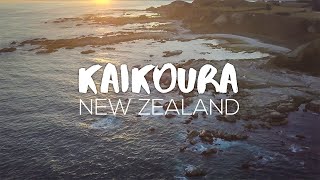 Exploring Kaikoura  New Zealand [upl. by Hsuk]