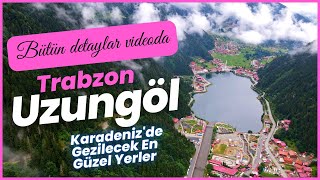 Trabzon  UZUNGÖL  Karadenizde Gezilecek En Güzel Yerler [upl. by Aerdnaxela914]